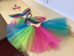 Rainbow Fairy Wings & Head Bands
