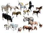 Schleich Animal pack