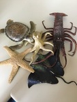 349: Sea Creatures Box 1