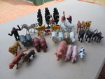Animal Set