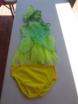 Garden fairy costume