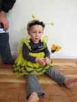 Bumblebee Costume