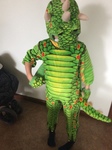 Dragon Costume