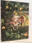 Dog Puzzle in a Puzzle 