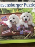 Puppies in a suitcase puzzle 