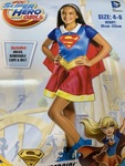Super Hero Girl Costume