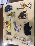 Animal safari puzzle 
