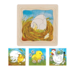 Lifecycle Puzzles - Butterfly