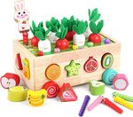 Montessori Garden Shape Sorter