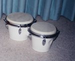 Bongo Drums