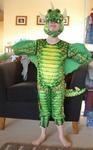 Dragon Costume