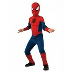 Spiderman costume