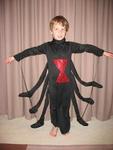 Spider costume