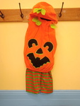 Halloween costume - Pumpkin