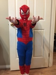 Spiderman costume 