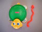 Turtle Tamborine
