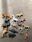 Animals - assorted 2
