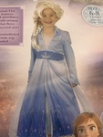 Frozen- Elsa costume 