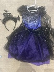 Spider fairy 