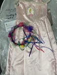 Sleeping Beauty Costume