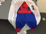 Spiderman Costume
