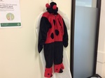 Ladybird Costume