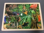 Australian Rainforest Animal Puzzle