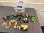Wild Republic - Creepy crawlies 