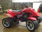 Pirate pedal quad bike