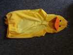 Duck dressing up outfit