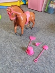 Horse and accessories 