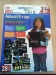 ANIMAL X RAYS