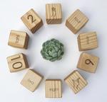 Bilingual numeracy blocks