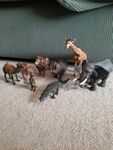 Wild animals set