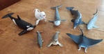 Sea Creatures