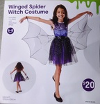 Halloween winged spider/witch costume 