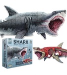 649: Shark Reversible Anatomy Floor puzzle 