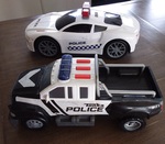 325: Police vehicles 