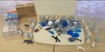 Arctic vs Antarctic Animals