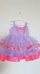 Purple Tutu Dress (Size 1+)