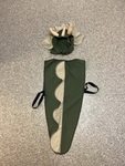 Costume- Dinosaur