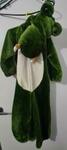 Costume- Crocodile