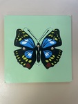 butterfly KNOB puzzle