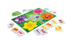 The Fairy Game