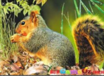 Ultra 3-D Squirrel Puzzle