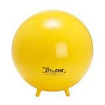 Sit n Gym Jr Ball
