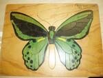 Green Butterfly Puzzle