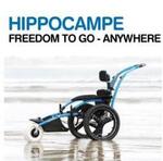 Hippocampe Leisure Wheelchair- Small