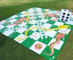 Giant Snakes & Ladders