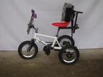 12 Inch BMX Tricycle Mack - white